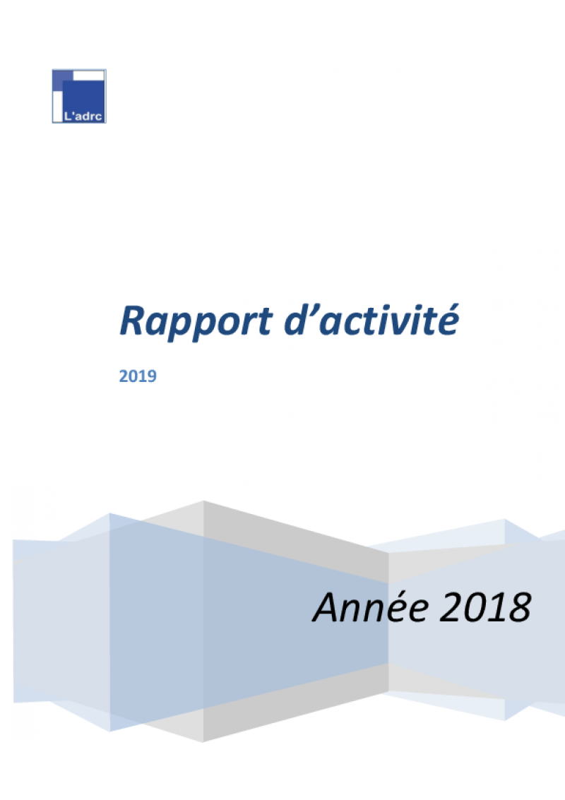 Rapport d'Activité 2018